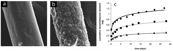 Scanning electron microscopy images