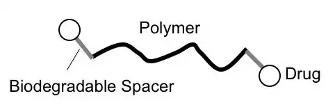 Design of conjugates optimized for local delivery