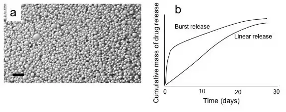 Nanoparticles for the controlled release of drugs