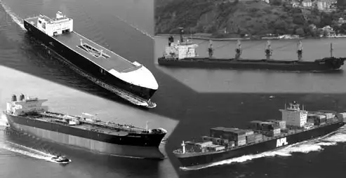 Types of ships in the merchant fleet.